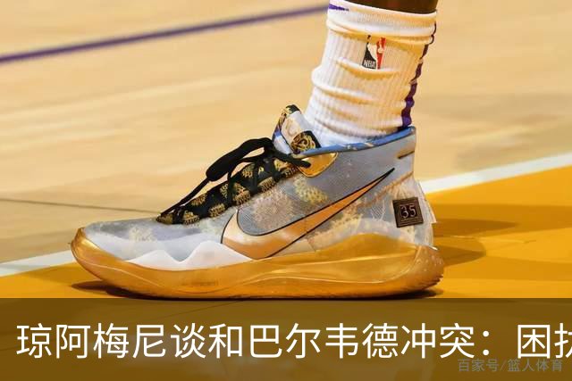 琼阿梅尼谈和巴尔韦德冲突：困扰我的是虚假报道，我们之间没问题